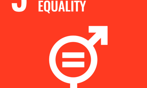 Gender Equality in Local Governance